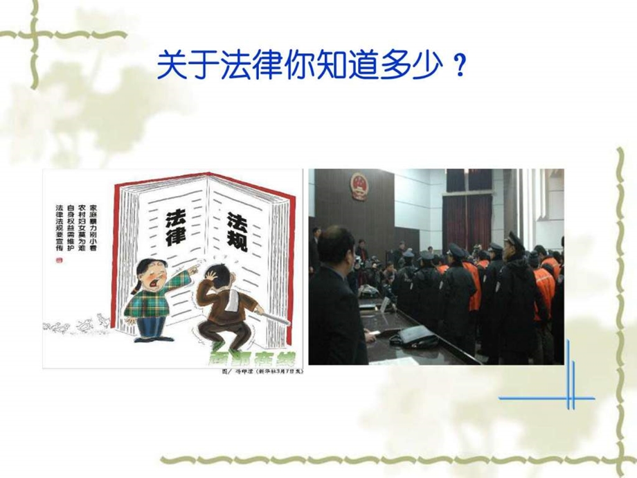 王辉第六章学习宪法法律建设法治体系图文.ppt.ppt_第3页