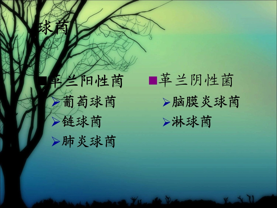 基础医学概论复习课件第3常见的致病性细菌.ppt_第2页