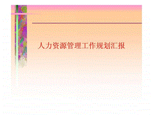 某著名公司人力资源管理规划方案图文.ppt.ppt