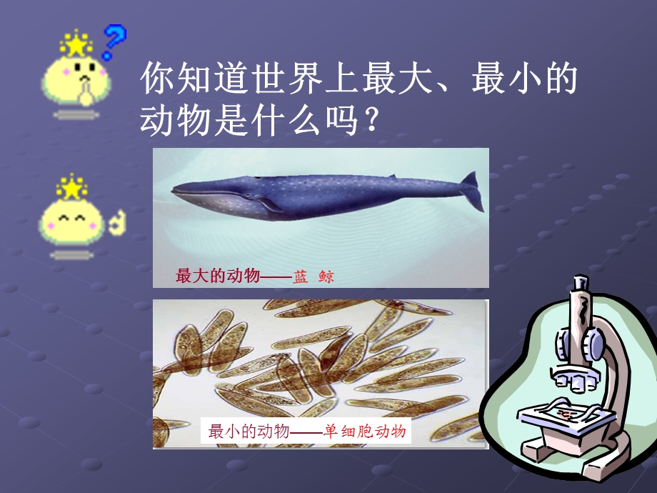 单细胞生物课件0.ppt_第1页