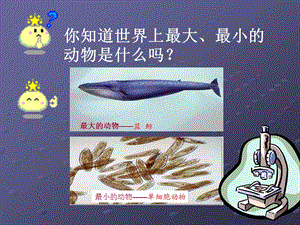 单细胞生物课件0.ppt