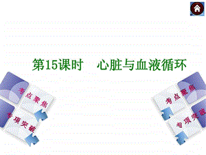 心脏与血液循环.ppt.ppt