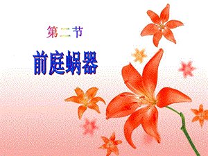 统编第二节前庭蜗器.ppt