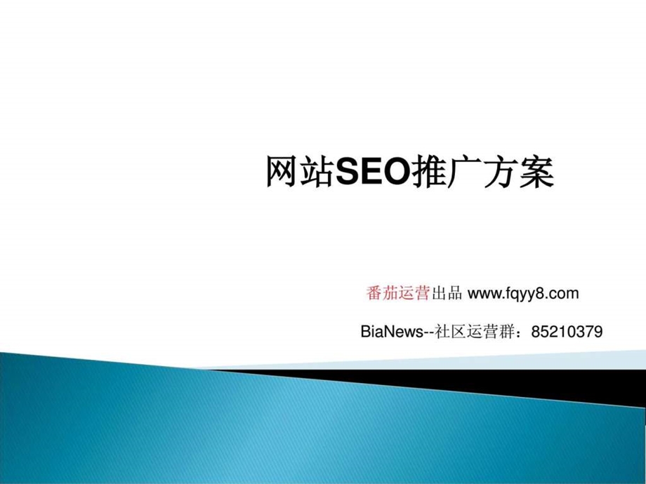 网站seo优化实战指南.ppt_第1页