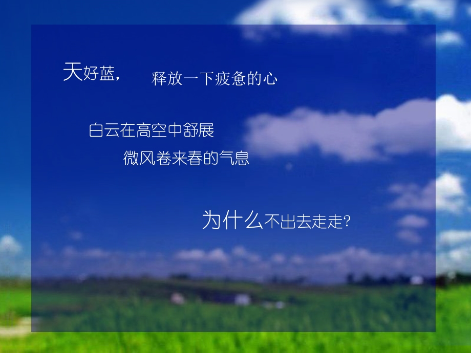 天好作品之一丨蒲公英.ppt_第2页