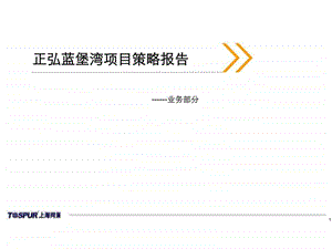 郑州正弘蓝堡湾项目策略报告.ppt