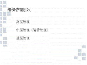 组织管理层次.ppt
