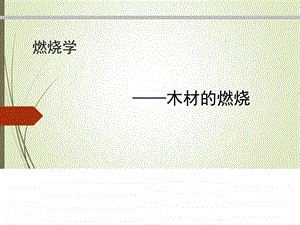 木材的燃烧图文.ppt.ppt