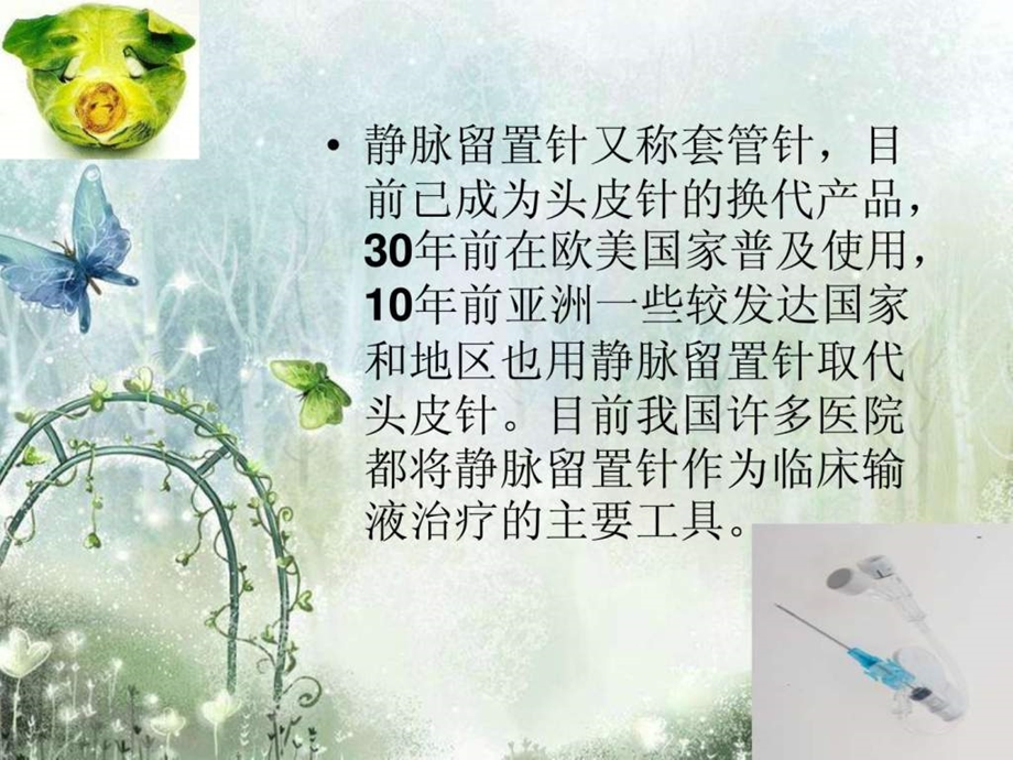 留置针的护理.ppt_第2页