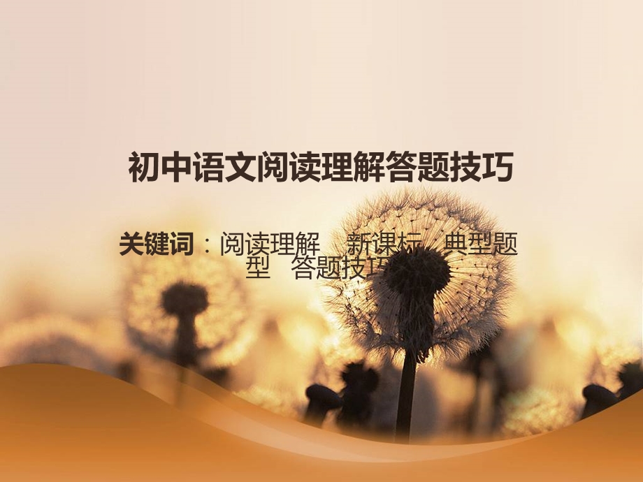 初中语文阅读理解通用答题技巧课件.ppt_第1页