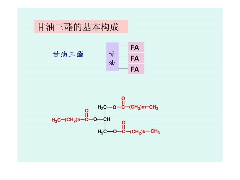 甘油三酯演示文稿.ppt.ppt_第2页