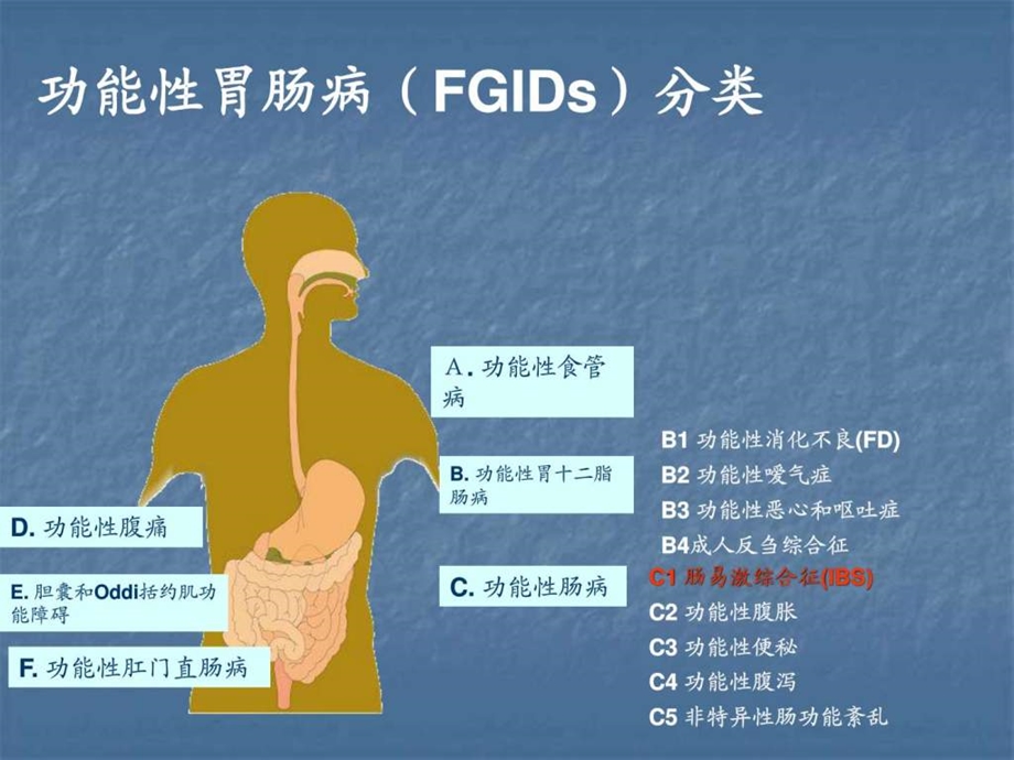 功能性消化不良.ppt.ppt_第3页