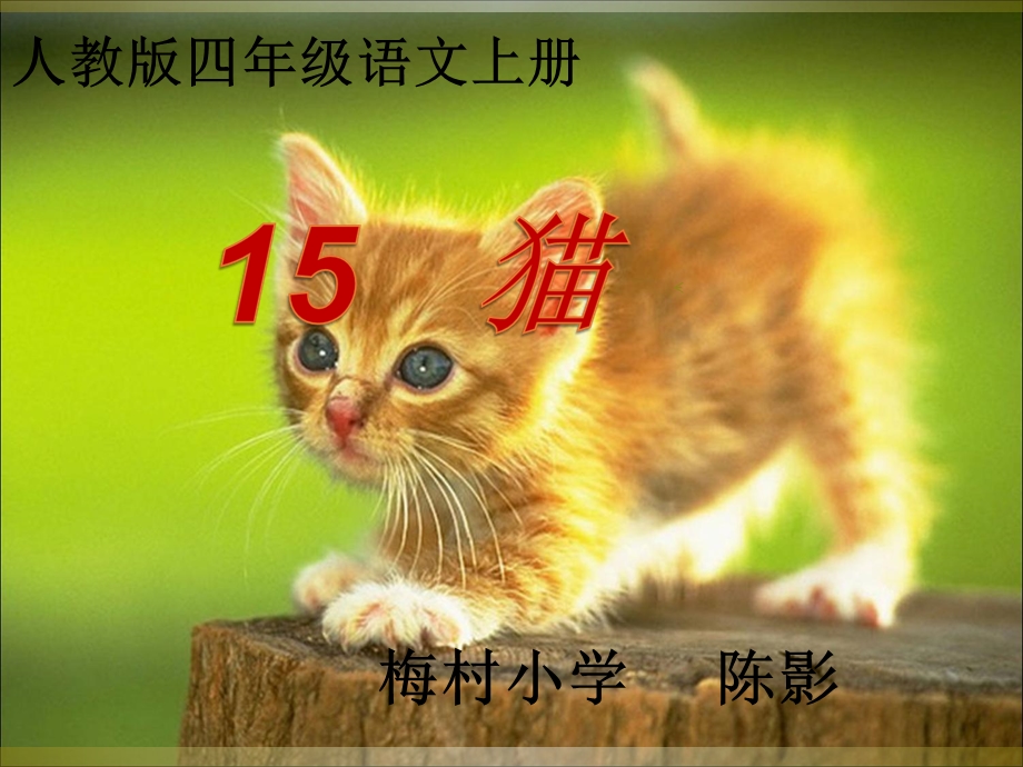 四年级语文上册15猫.ppt_第1页