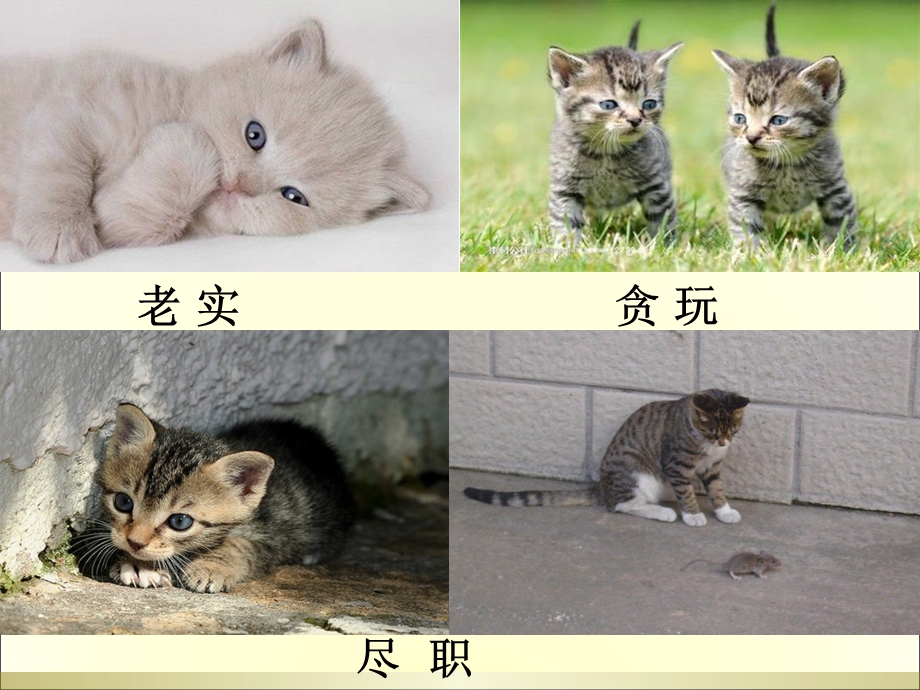 四年级语文上册15猫.ppt_第2页