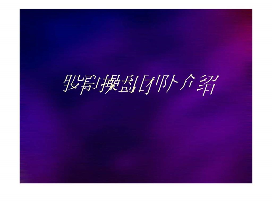 操盘团队.ppt_第1页