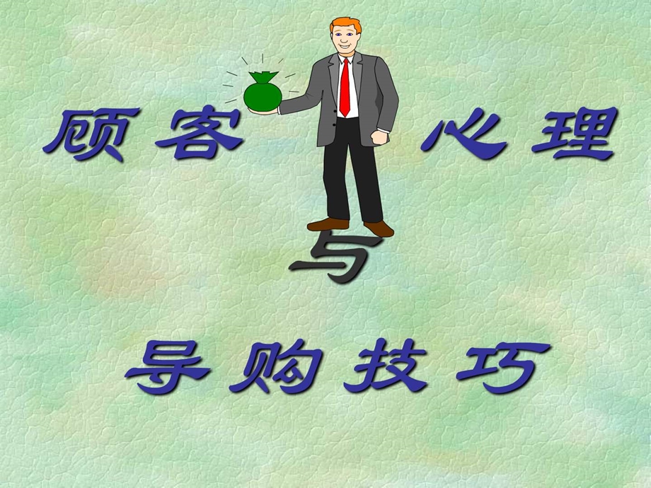 导购技巧演示版.ppt_第1页