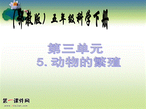 动物的繁殖（鄂教版）五年级科学下册PPT课件.ppt