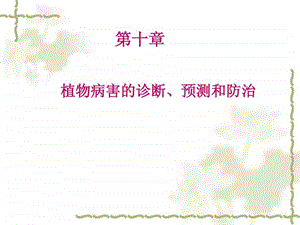 植物病害的诊断图文.ppt.ppt