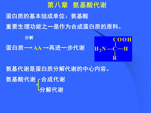 氨基酸代谢 .ppt