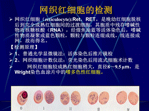 贫血的实验室检查诊断学.pptx