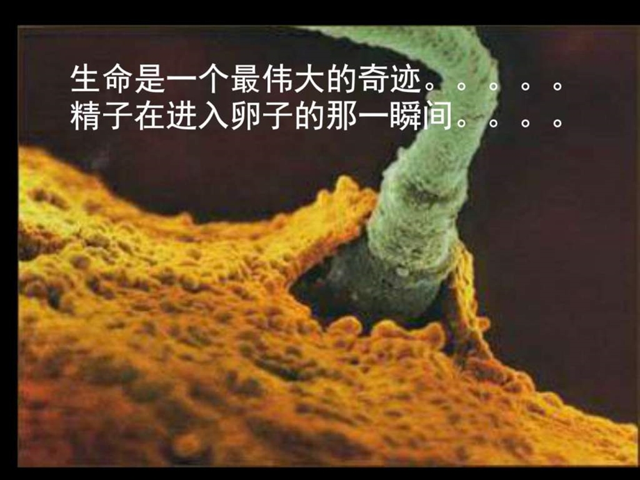 观念健康的重要性图文.ppt.ppt_第2页