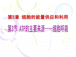 532细胞呼吸之有氧呼吸及无氧呼吸.ppt.ppt