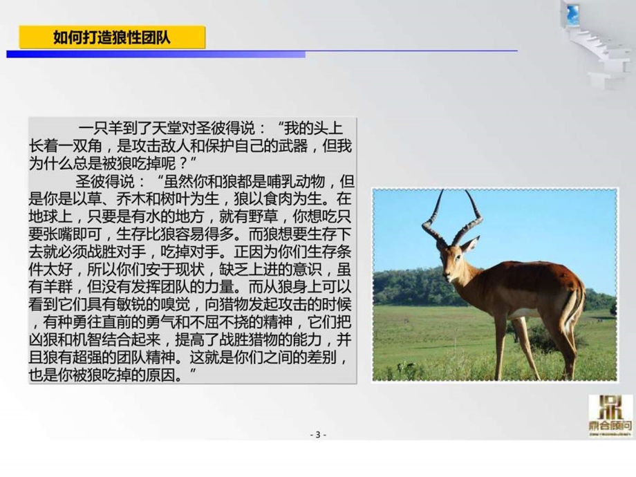 如何打造狼性团队.ppt_第3页