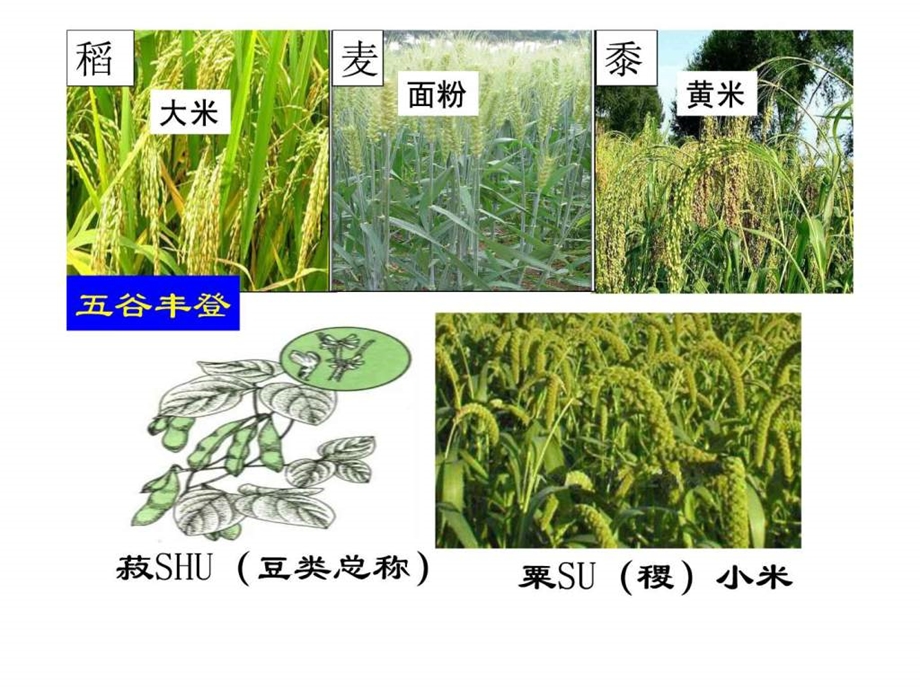 第一课精耕细作农业生产模式的形成.ppt.ppt_第3页