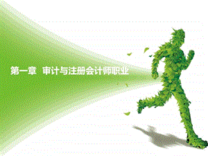 第一章审计与注册会计师职业讲诉.ppt.ppt