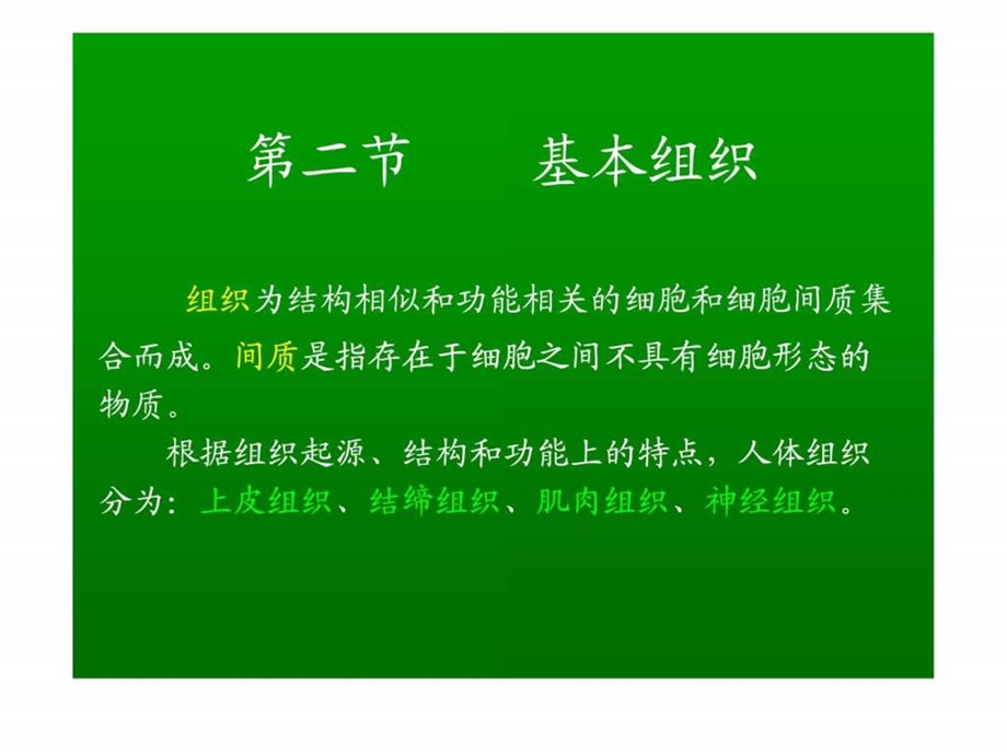 人体基本组织.ppt_第1页