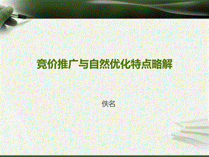 网站seo必读竞价与优化分析.ppt