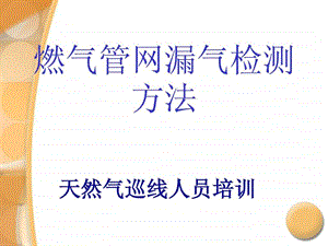 燃气管网漏气检测方法.ppt.ppt