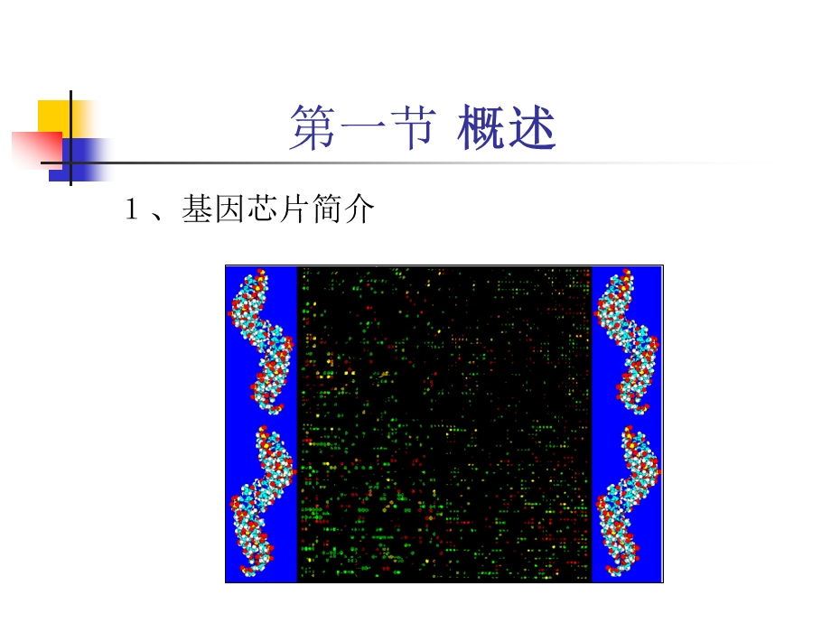 112第十二章基因芯片.ppt_第2页