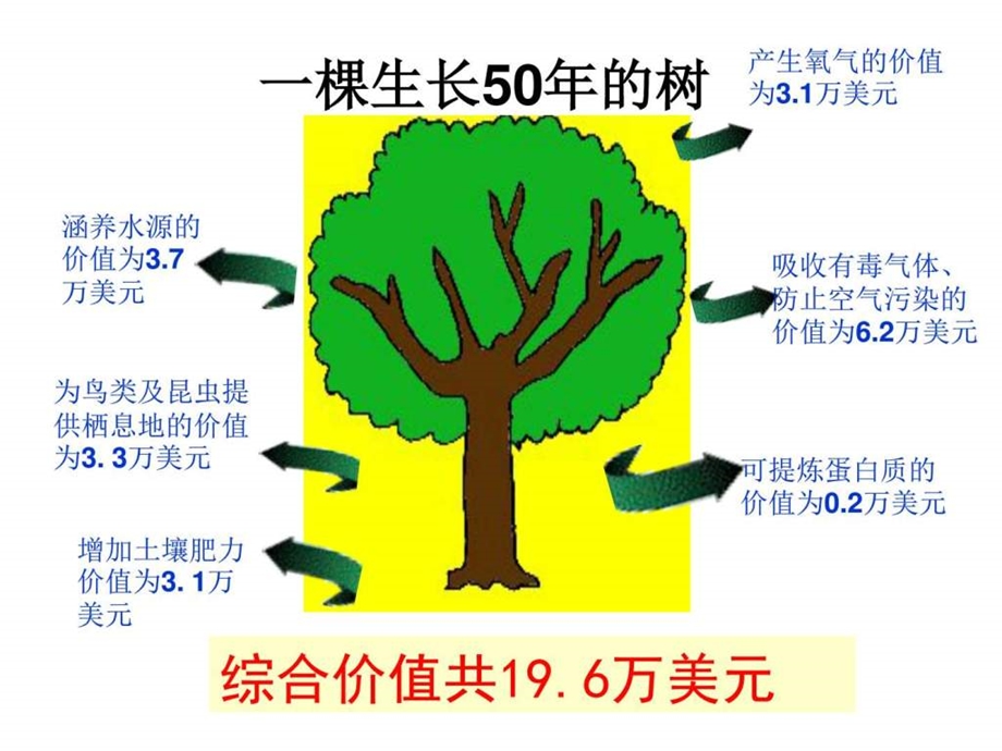 实施可持续发展战略上课图文.ppt.ppt_第2页