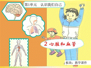 2心脏和血管教学课件.ppt.ppt