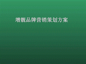 品牌营销策划方案图文.ppt.ppt