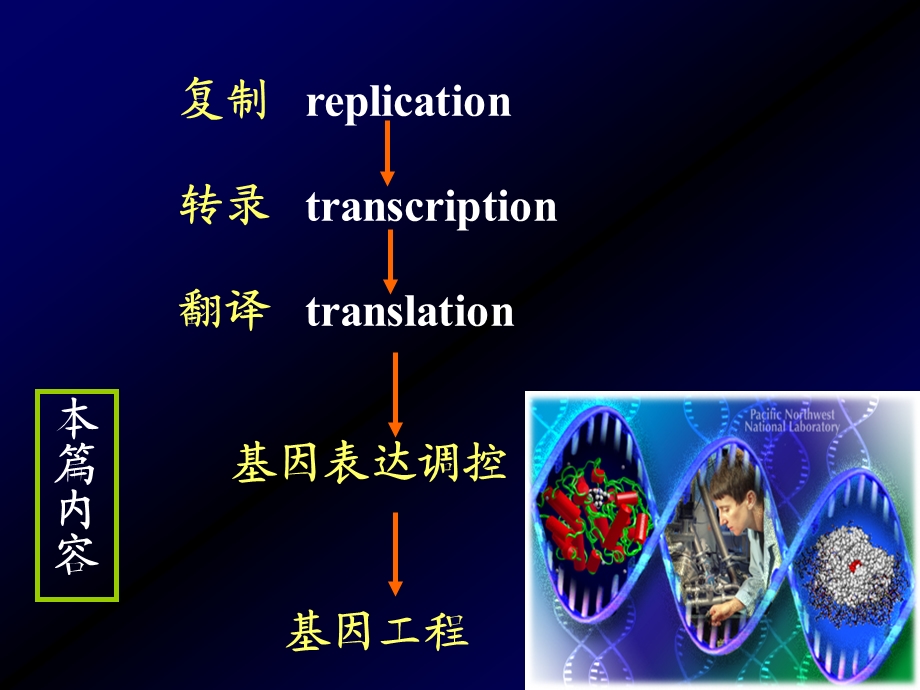 第十章复制ppt课件.ppt_第3页