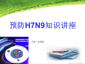 预防H7N9知识讲座.ppt