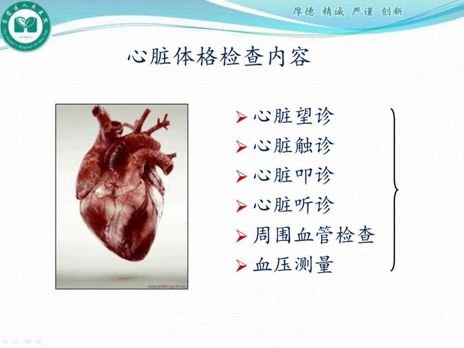 心脏体格检查PPT课件图文.ppt.ppt_第3页