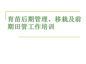 烟草育苗后期管理移栽及前期田管工作培训.ppt