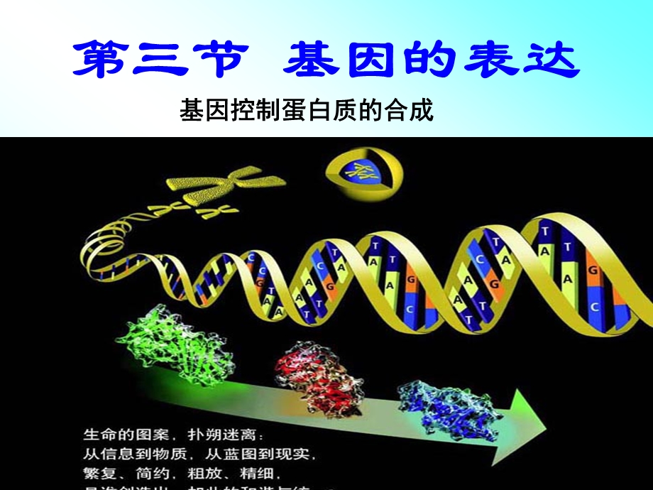 基因的表达、基因对性状的控制.ppt_第1页