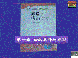 汽车防盗锁哪个牌子好如何挑选汽车防盗锁.ppt