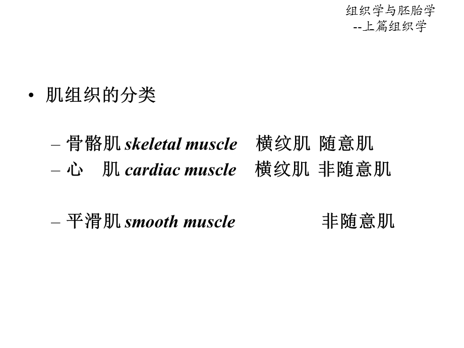 第6章肌组织ppt课件.ppt_第3页