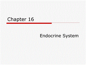 医学词汇16EnrineSystem.ppt