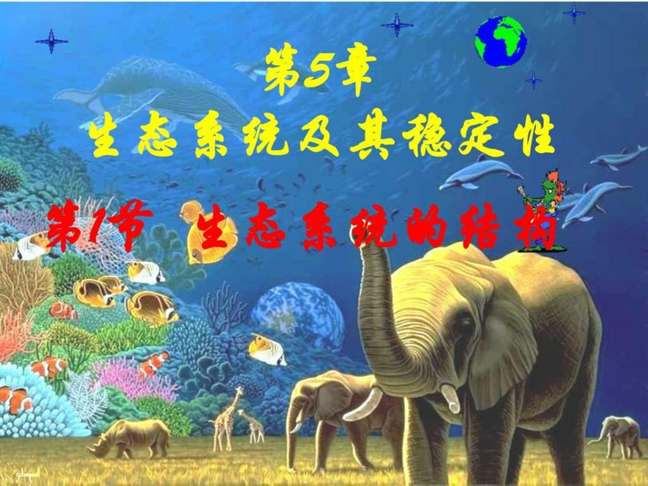 第五章第一节生态系统的结构图文.ppt.ppt_第1页