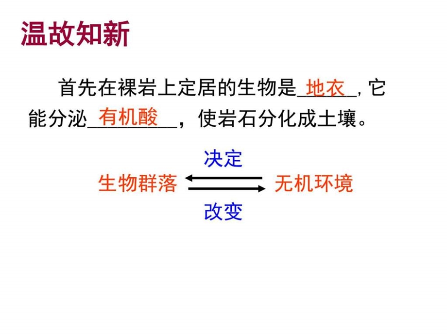 第五章第一节生态系统的结构图文.ppt.ppt_第2页