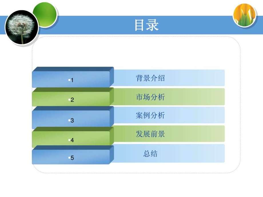 品牌策划方案舒肤佳.ppt.ppt_第2页