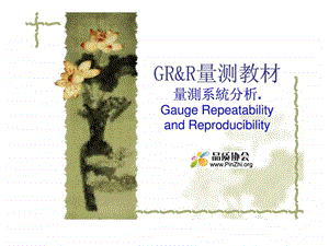 grampr量测教材什么是grampr量测系统分析案例资料图文.ppt