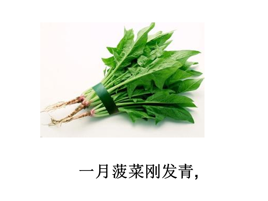 十二月蔬菜歌幻灯片.ppt_第3页