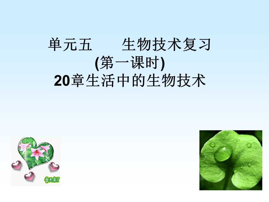 八年级生物日常生活中的生物技术.ppt_第1页